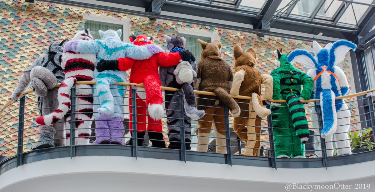 BlackymoonOtter's tweet photo. @ArendStudios @CurlyTSwag @XeroxAngelfur @CuteFursuits @AwesomeFursuits @FursuitPursuits @Arcothewolf @Codydawggo @KeenoraOfficial @Kimutiger @Nanakifuchs @PhasorDragon 2/3
More fluff of the @ArendStudios group and .... butts! :3

Arco, CodyDawg, Colin, @CurlyTSwag , Keenora, Kimu, Nanaki, Phasor, @XeroxAngelfur https://t.co/FtqYIG4mOU