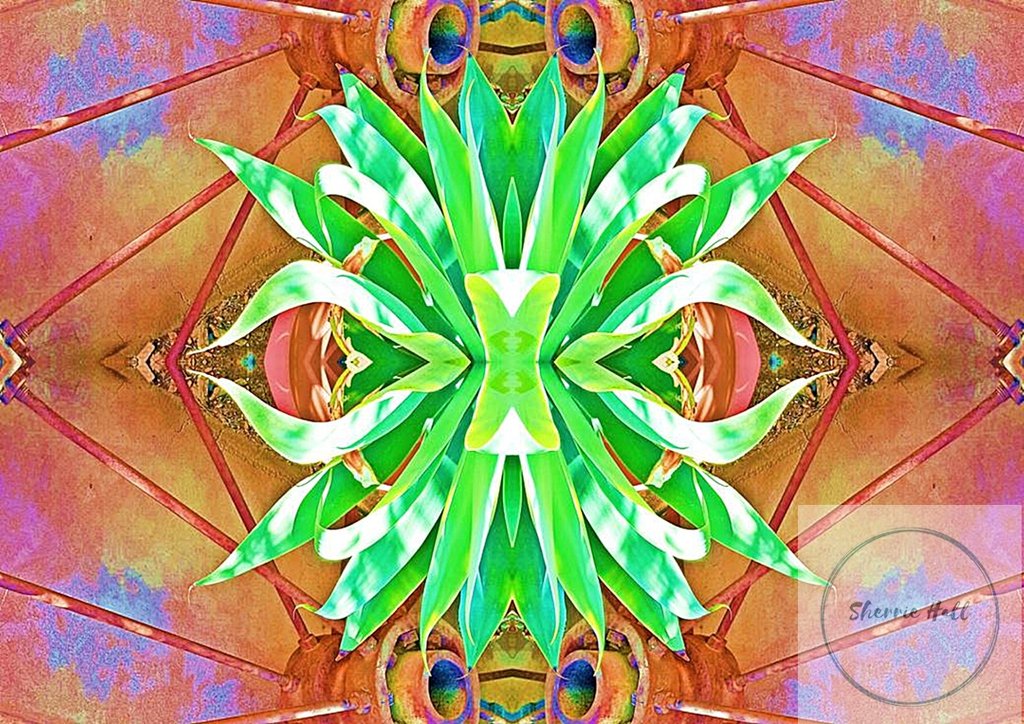 SherrieArtist's tweet photo. Luminescent Green Leaf Explosion - at https://t.co/AU9fsXvymM⁠
#sherriehall #sherrieartist #artistree ⁠
#australianart #contemporaryart ⁠
#digitalartdesign  #photographicart  ⁠
#naturalpatterns #fantasypattern ⁠
#kaleidoscopic #plantart #fantasy⁠
#leafart #findyourthing⁠ https://t.co/BQSqK7ZSNg