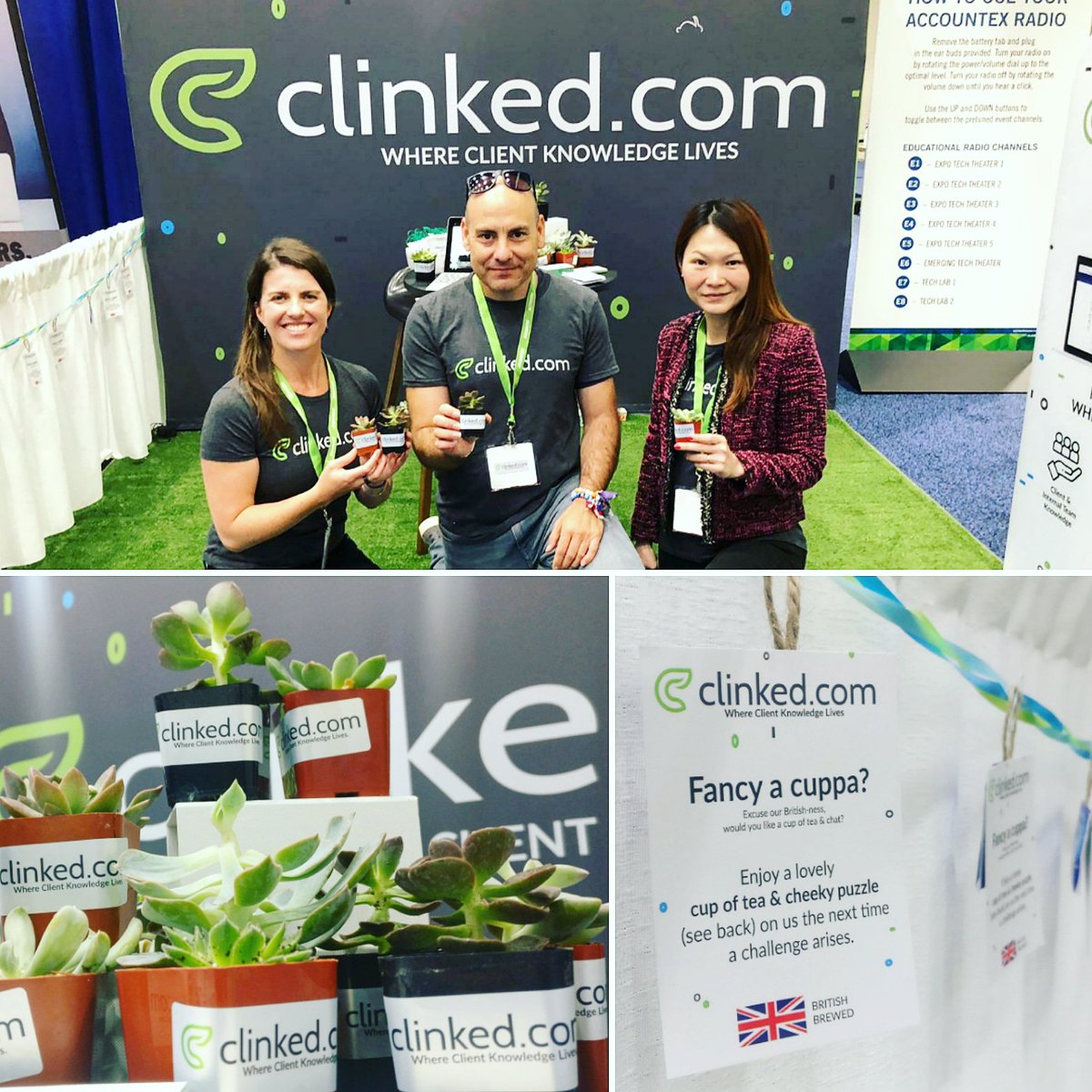 Last call for <a href="/clinked/">Clinked</a>#succulents! 🌵🌱 Come to booth 407 by 3pm to claim yours &amp; a #cuppa at <a href="/AccountexUSA/">AccountexUSA</a> #accountexusa #clientknowledge #clientportal