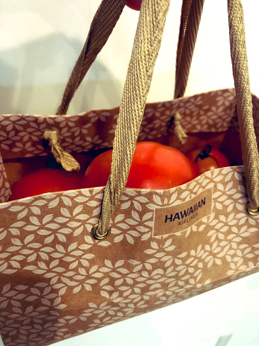 sweetmatcha's tweet image. Reusing my @HawaiianAir snack bag to gift our #garden tomatoes 🍅 😄😋 #reuse #perfectsize #recycle
