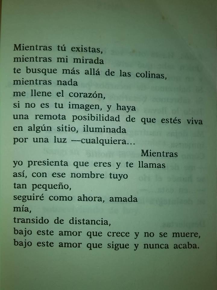 literlandweb1's tweet photo. En memoria de Ángel González, nacido tal día como hoy de 1925: "Bajo este amor que crece y no se muere, bajo este amor que sigue y nunca acaba". https://t.co/pKmqNo2yb8
