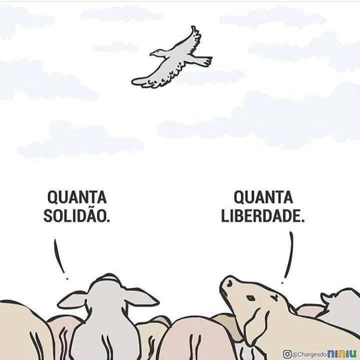 Filósofo Boladão on Twitter: "Compreender que há outros pontos de vista é o  início da sabedoria.… "