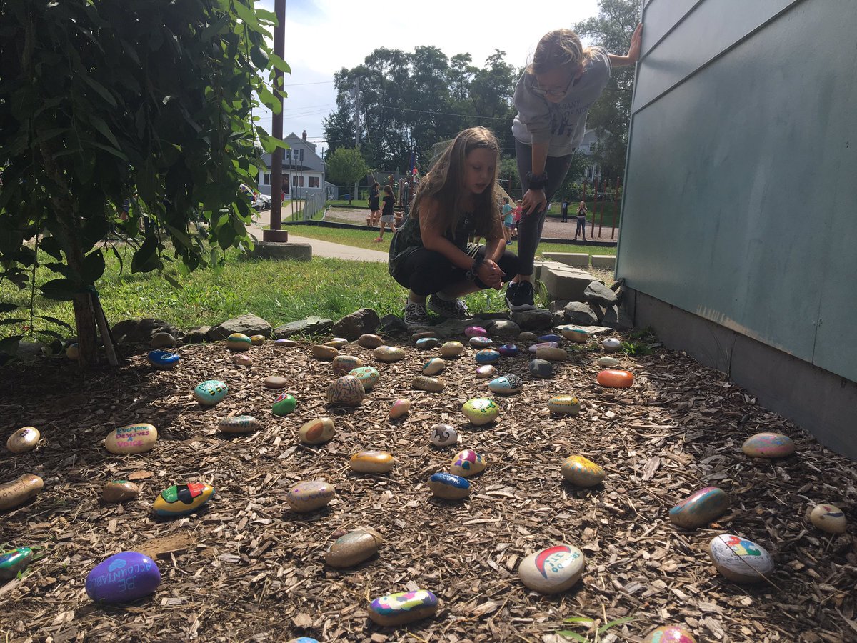 MMS_CSDA's tweet image. A few new items to check out at MMS.  Todd the turtle who arrived on Wednesday and a beautiful rock garden filled with the creative works of MMS staff.