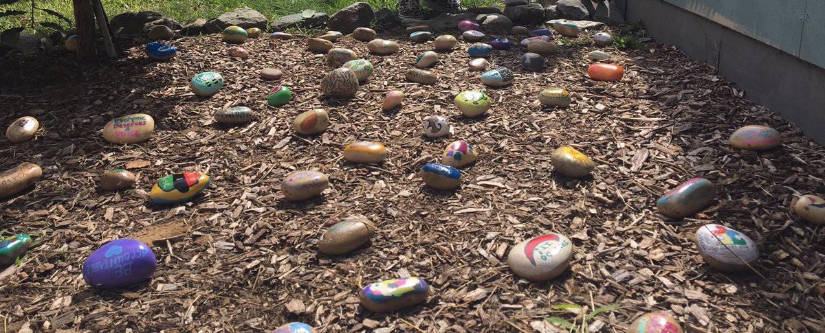 MMS_CSDA's tweet image. A few new items to check out at MMS.  Todd the turtle who arrived on Wednesday and a beautiful rock garden filled with the creative works of MMS staff.