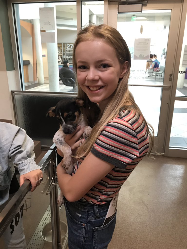 amybirknerbrown's tweet photo. On our way to #FanX19. @ElizabethBirkn4 will be at the #talkingpictures booth #2542 near the food court. Her appearance is supporting the #utahhumane. Please visit her! https://t.co/16kkAp29Cu