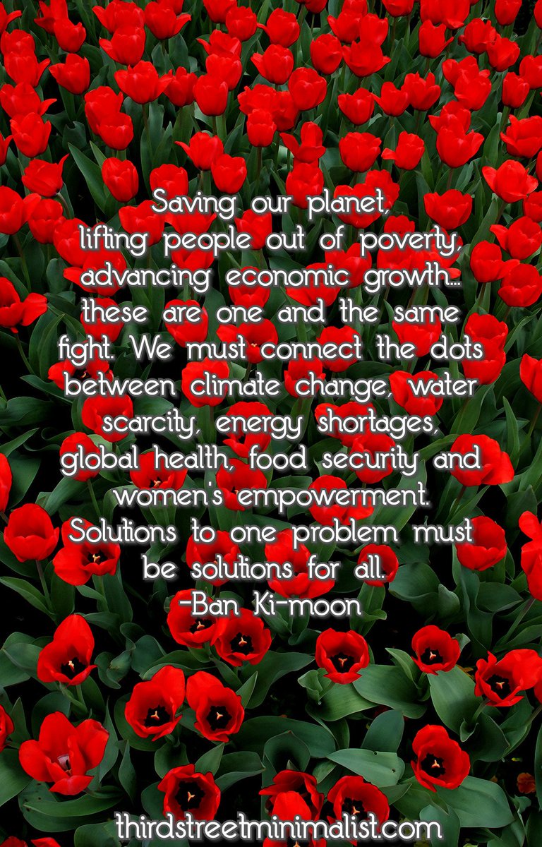 thirdstreetmini's tweet photo. Be part of the solution. #FairTradeFriday #ClimateChange #sustainable #quotes #tulips #SaveThePlanet https://t.co/LEhur4J4dn