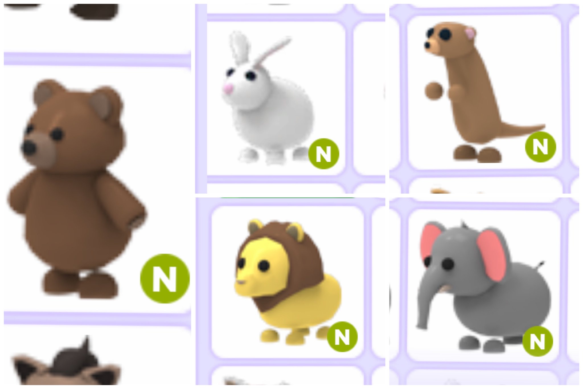 Eva Danae On Twitter Trading My Neon Pets In Adopt Me I Worked Hard On All Of Them Took Me Forever Any Offers Adoptmetrades - roblox adopt me teddy bear