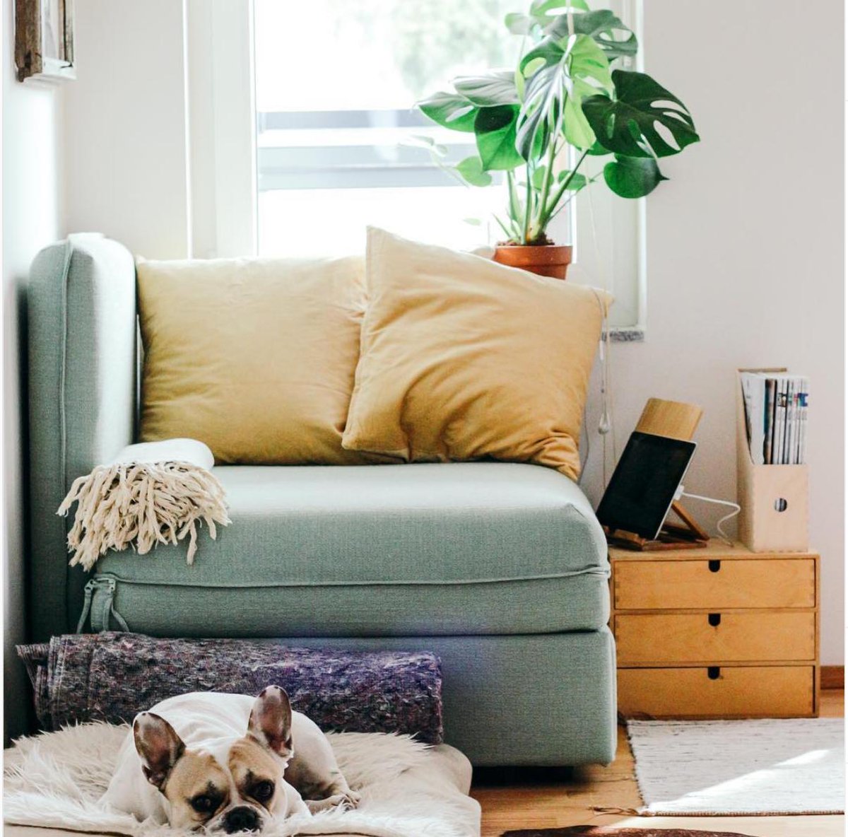 🍂 Living in #Vancouver is expensive. Creating a beautiful place of your own this fall, doesn’t have to be. 🍂 Your furniture, your style, your budget. Lease fun, fashionable, affordable furniture, monthly. bit.ly/AMYInspired #VancouverBC #FeelGoodFriday #WeekendVibes