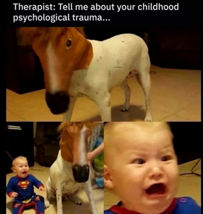 FireBirdReactio's tweet image. Welp.... That about wrapped up my traumas 😶