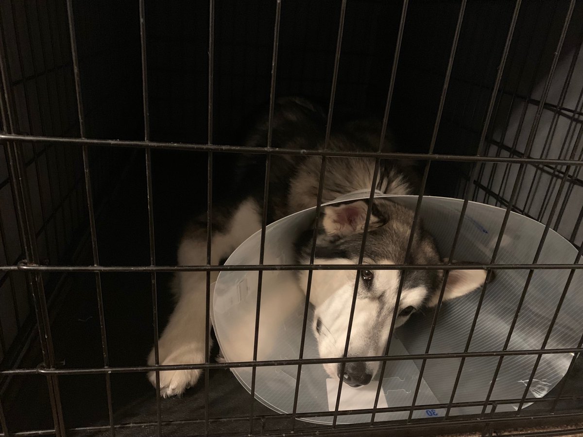 Benjamin Van Tassell tweet media