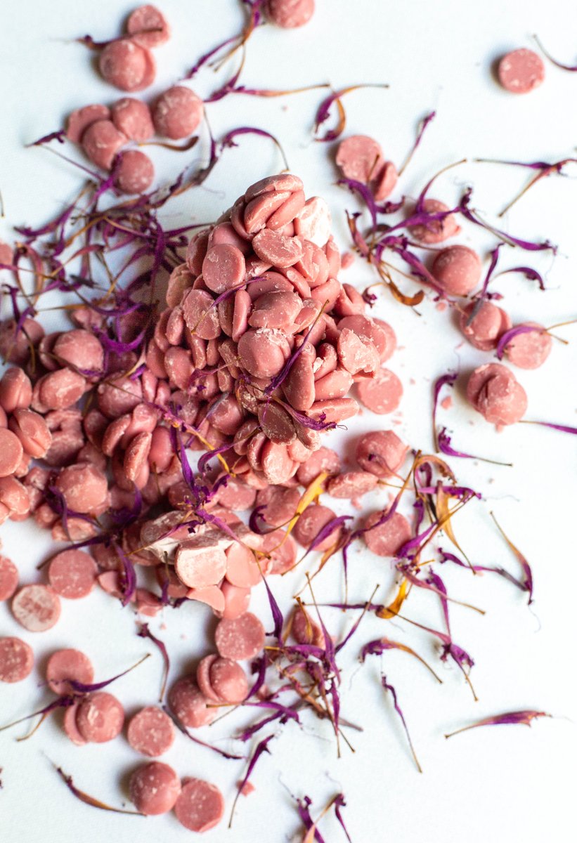 From our upcoming Carmine menu, the next theme in our $75 Explorative Dinner Series | Dessert of dried agastache flowers and ruby chocolate. The new menu debuts at the start of October, and reservations can be made now at the link in our bio.