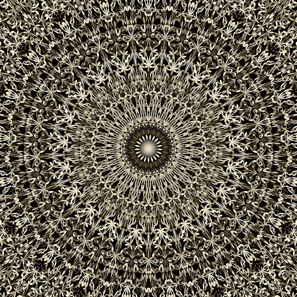 DavidZydd's tweet photo. Abstract jungle kaleidoscope mandala pattern geometry wallpaper - oriental vector graphic design #mandalas #RoyaltyFree #BackgroundGraphics #MandalaPatternDesign #bohemian #graphicdesign #DavidZydd #patterns #design #backdrop #VectorGraphic https://t.co/gGaXMhZvE9 https://t.co/vVMsuV14Os