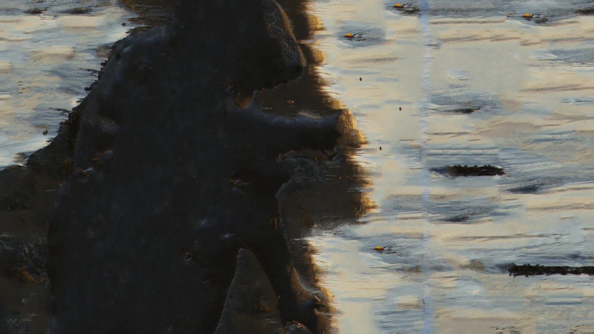 wizpolys's tweet image. 𝗕𝗲𝗮𝗰𝗵 #ebsynth