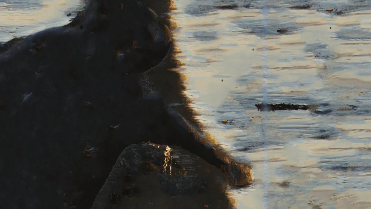 wizpolys's tweet image. 𝗕𝗲𝗮𝗰𝗵 #ebsynth