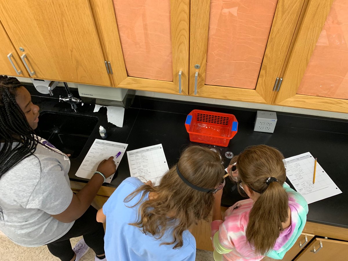 What are the properties of different white powdered substances in the kitchen? #southlearns to observe properties.