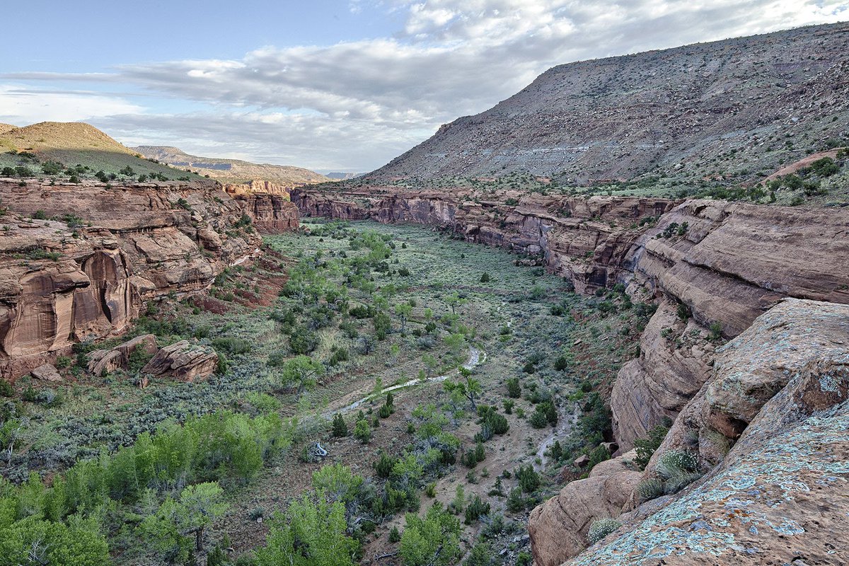 This week marks the 55th anniversary of the Wilderness Act of 1964, which entrusted the BLM with managing about 8.7 million acres of America’s public lands. Places like Dominguez Canyon Wilderness are forever protected thanks to this landmark piece of conservation legislation.