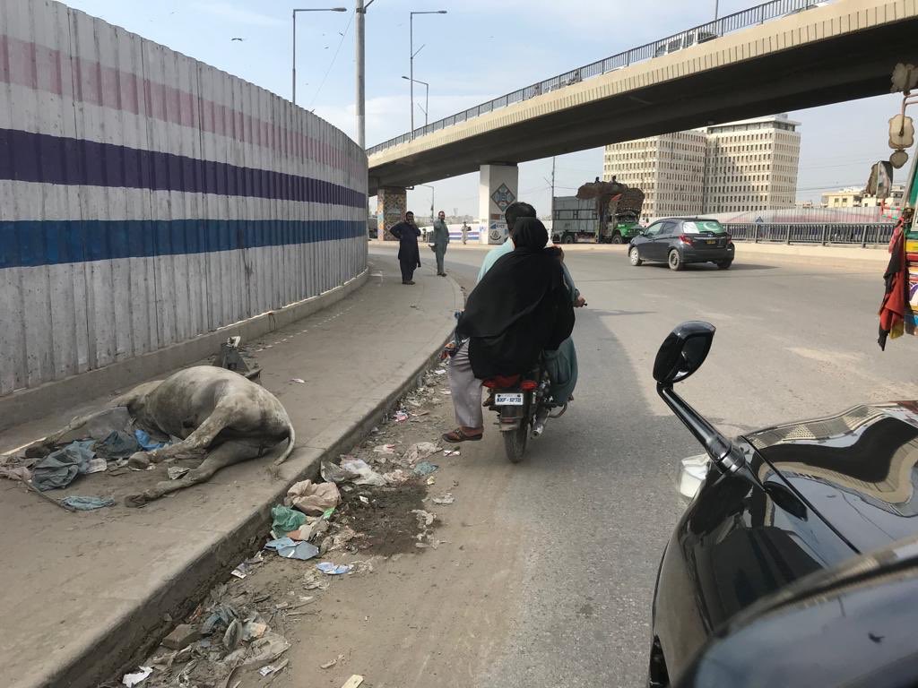 Third time in the last 2 weeks something like this has happened on Jinnah Bridge. Last week two full dumpers were thrown on the ramps. 

To the enemies of KHI: 
You can do what you want but Karchiites will win this battle against garbage. #LetsCleanKHI
