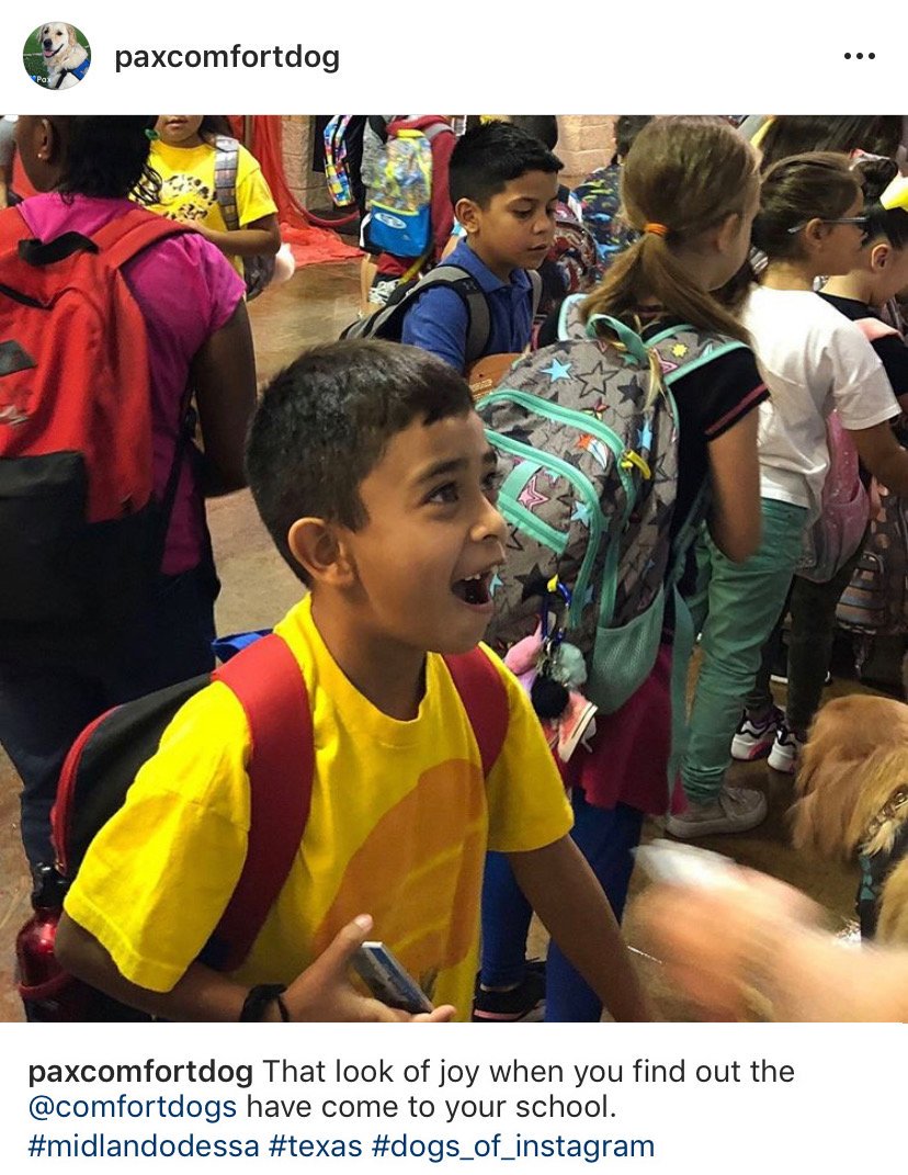 K9ComfortDogs's tweet photo. One of our new friends in #Odessa #Texas : )

#FridayMotivation #FridayFeeling #comfortdogs https://t.co/HnJ7mDdqVs