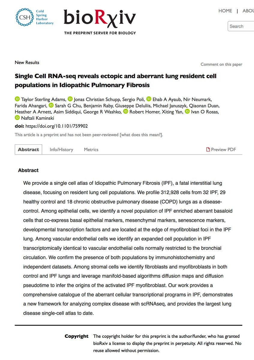 KaminskiMed's tweet photo. The #IPFCellAtlas is now life on @biorxivpreprint - Just in time for Pulmonary Fibrosis Awareness Month. A Kaminski / Rosas production funded by @3LakesPartners @nih_nhlbi #CureIPF #PFAM2019 #TrumanWasRight populationshttps://www.biorxiv.org/content/10.1101/759902v1 https://t.co/MkLCpy1hzH
