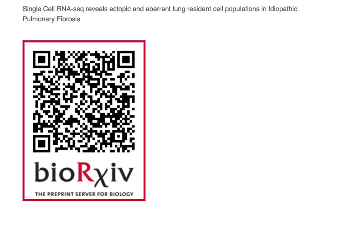 KaminskiMed's tweet photo. The #IPFCellAtlas is now life on @biorxivpreprint - Just in time for Pulmonary Fibrosis Awareness Month. A Kaminski / Rosas production funded by @3LakesPartners @nih_nhlbi #CureIPF #PFAM2019 #TrumanWasRight populationshttps://www.biorxiv.org/content/10.1101/759902v1 https://t.co/MkLCpy1hzH