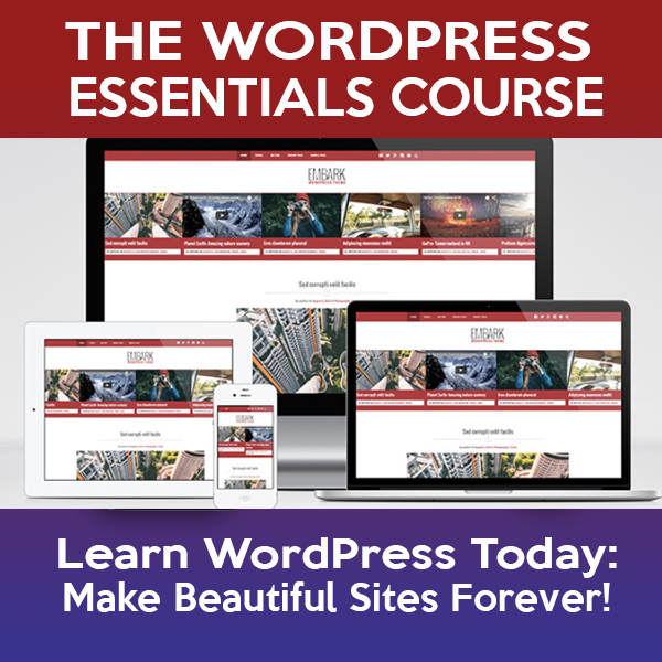 Don't wait... early bird pricing ends today for The Essentials WordPress Course!   wpe.kitchensinkwp.com   #GTD