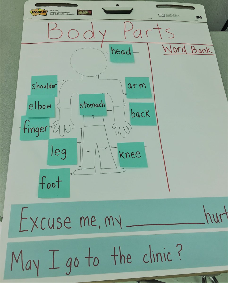 Ell Anchor Charts