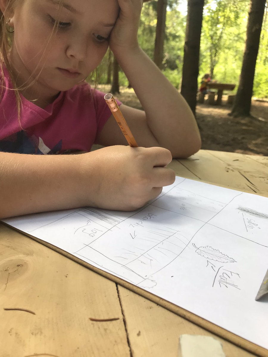 GabrielleLefe's tweet photo. À la recherche d’inspirations pour nos œuvres! Quelles types de lignes vois-tu? Comment pourrais-tu représenter l’écorce de l’arbre? @smbmerrickville https://t.co/X5DWZVOxws