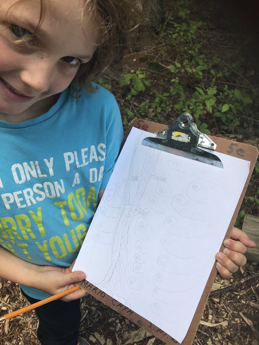 GabrielleLefe's tweet photo. À la recherche d’inspirations pour nos œuvres! Quelles types de lignes vois-tu? Comment pourrais-tu représenter l’écorce de l’arbre? @smbmerrickville https://t.co/X5DWZVOxws