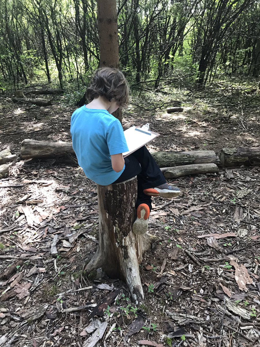 À la recherche d’inspirations pour nos œuvres! Quelles types de lignes vois-tu? Comment pourrais-tu représenter l’écorce de l’arbre? <a href="/smbmerrickville/">SMB</a>