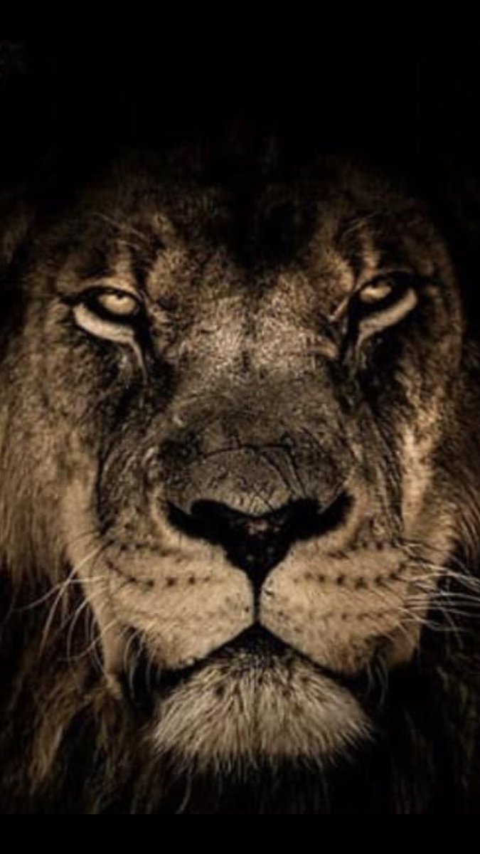 Good luck to all of our teams today! Home varsity football game against Liganore tonight at 7:00pm.