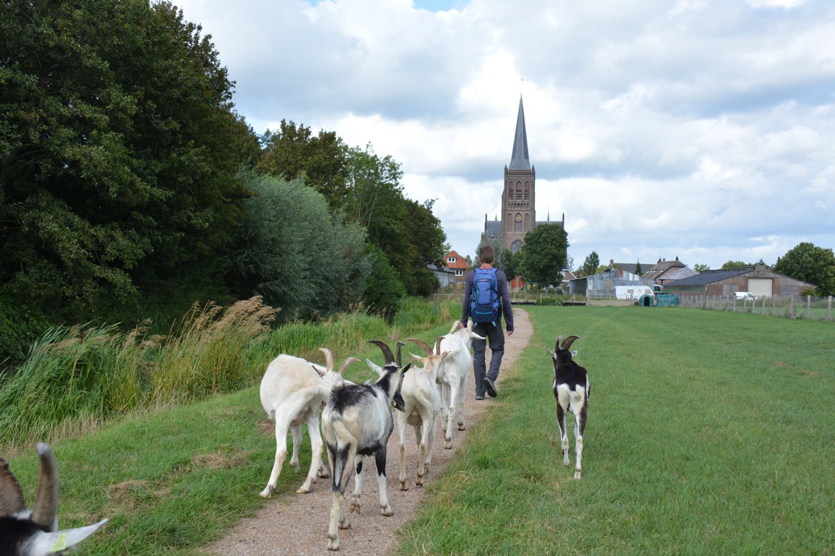Gisteren wandelden we tussen de buien door het #klompenpad Lint- en Liniepad in Utrecht.
Langs de forten van de <a href="/Waterlinie_NHW/">Nieuwe Hollandse Waterlinie</a> en de mooie natuur van de Kromme Rijnstreek. Genieten!

#routesinutrecht #jebentzobuiten #nieuwehollandsewaterlinie #VVVKrommerijnstreek