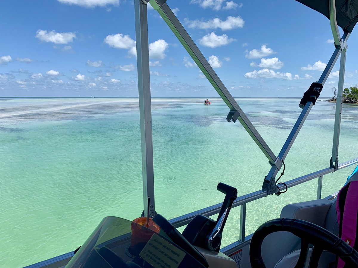 Office with a view. #lazydogcharters backcountry boat trips. #silence #ecotours #visitflorida #crystalclearwater one of my favorite #thingstodoinkeywest
