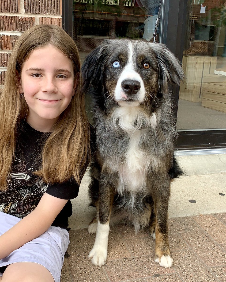 IvePetThatDog's tweet image. I pet Bailey. She is a 2 year old Mini Australian Shepherd. She likes long walks with her family. If she sees deer, she wants to chase them. She knows her caregiver is pregnant, so Bailey stays near her. Except when it’s dark. Bailey is afraid of the dark, and just wants to hide.