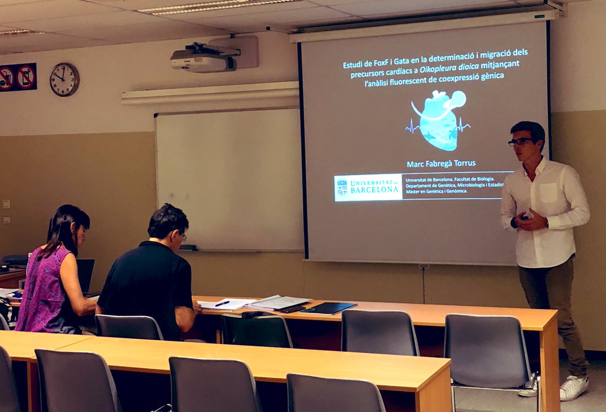evodevogenomeUB's tweet photo. Wonderful day with 3 fabulous Master defenses by @Enyad4 @MarcFabrega01 @G4sparS presenting great advances to our #EvoDevo understanding of #Oikopleura #HeartDevelopment. Congrats to the 3 supermasters 🦹🏻‍♀️🦸🏻‍♂️🦹🏼‍♂️ and the rest of the team for great support 👏🏻👏🏻👏🏻
@GeneticsUB @IRBioUB https://t.co/LKpM4CCD81
