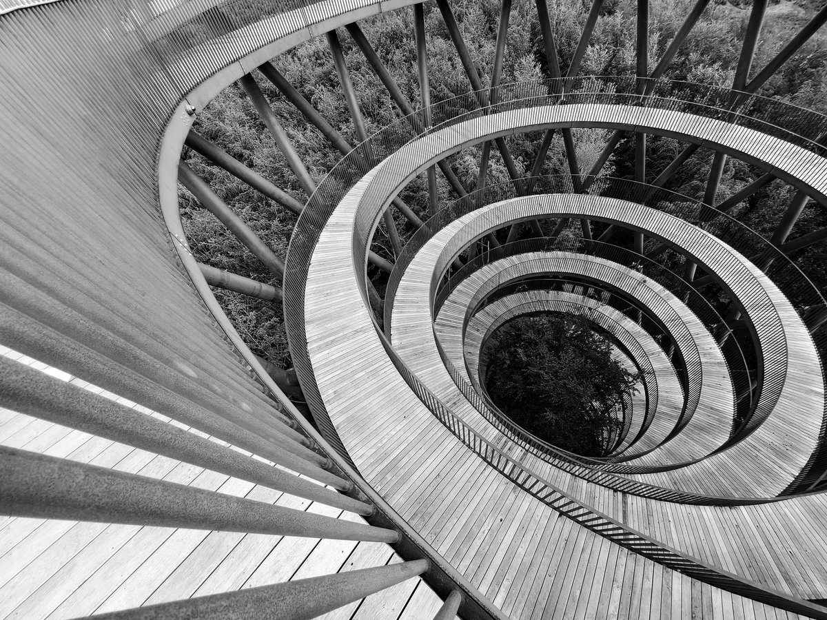 GreenAuditor's tweet photo. #ikeahomeview #ikeadk | #københavn #copenhagen #danmark #denmark #latinx #photography #design #bauhaus #forest #tower #foresttower #architecture #travel #vsco📷 #lightroom https://t.co/CQdAAmp9P4