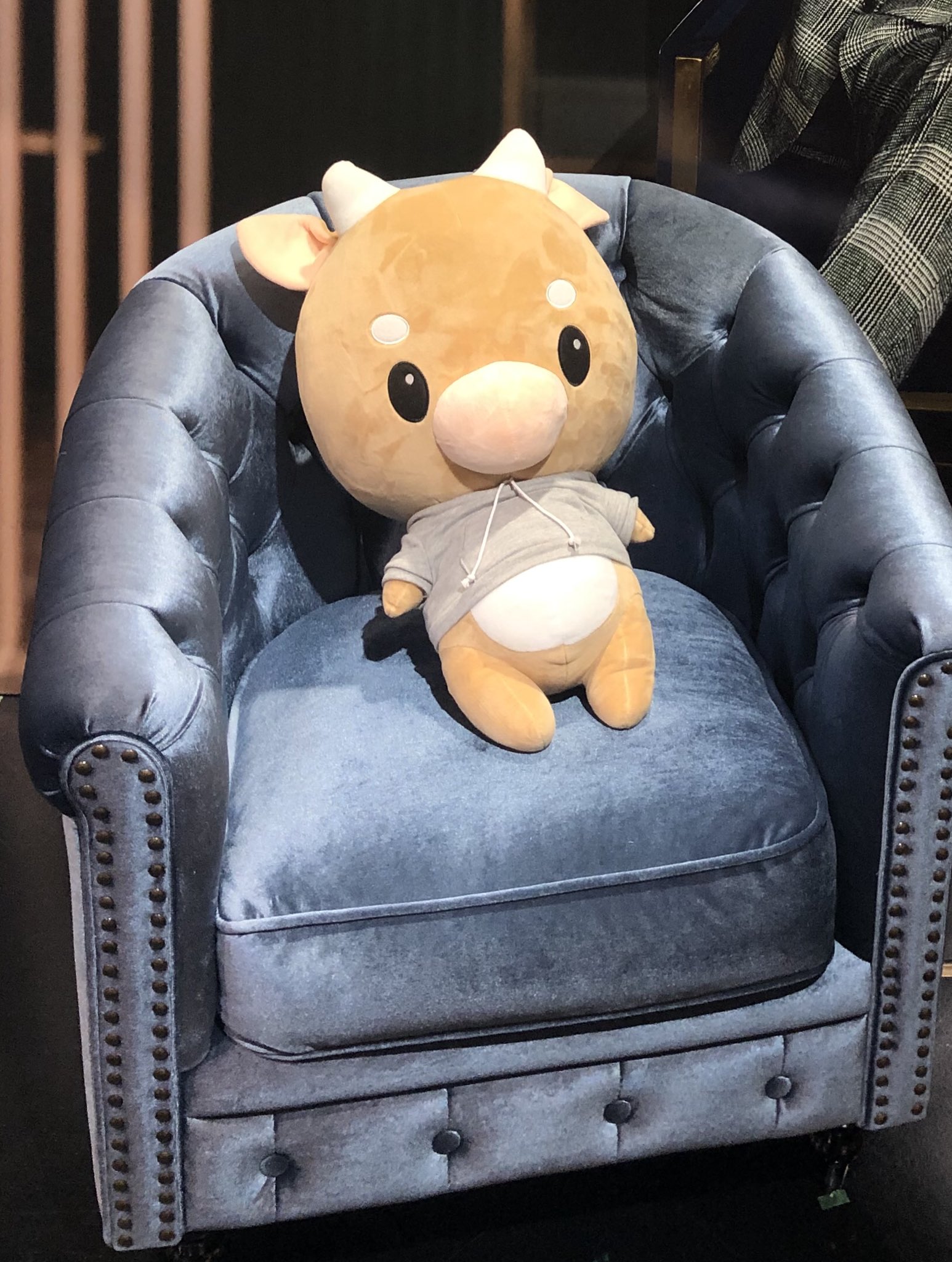 パク・ソジュン 韓国ドラマ キム秘書はいったいなぜ ぬいぐるみ