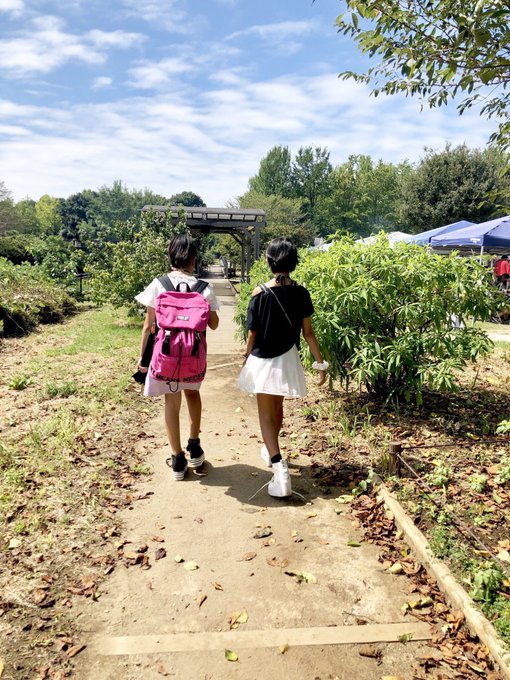 愛純百葉のTwitter画像50