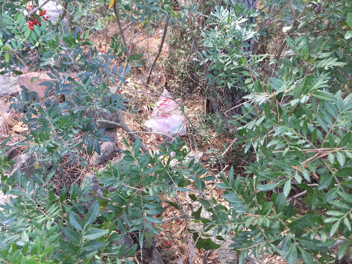 BulloTarci's tweet photo. #Sardegna bellissima, ma piange il cuore constatare che appena dietro scorci di panorama mozzafiato trionfano incuria, maleducazione e ignoranza... https://t.co/Y2iA1p1WPL