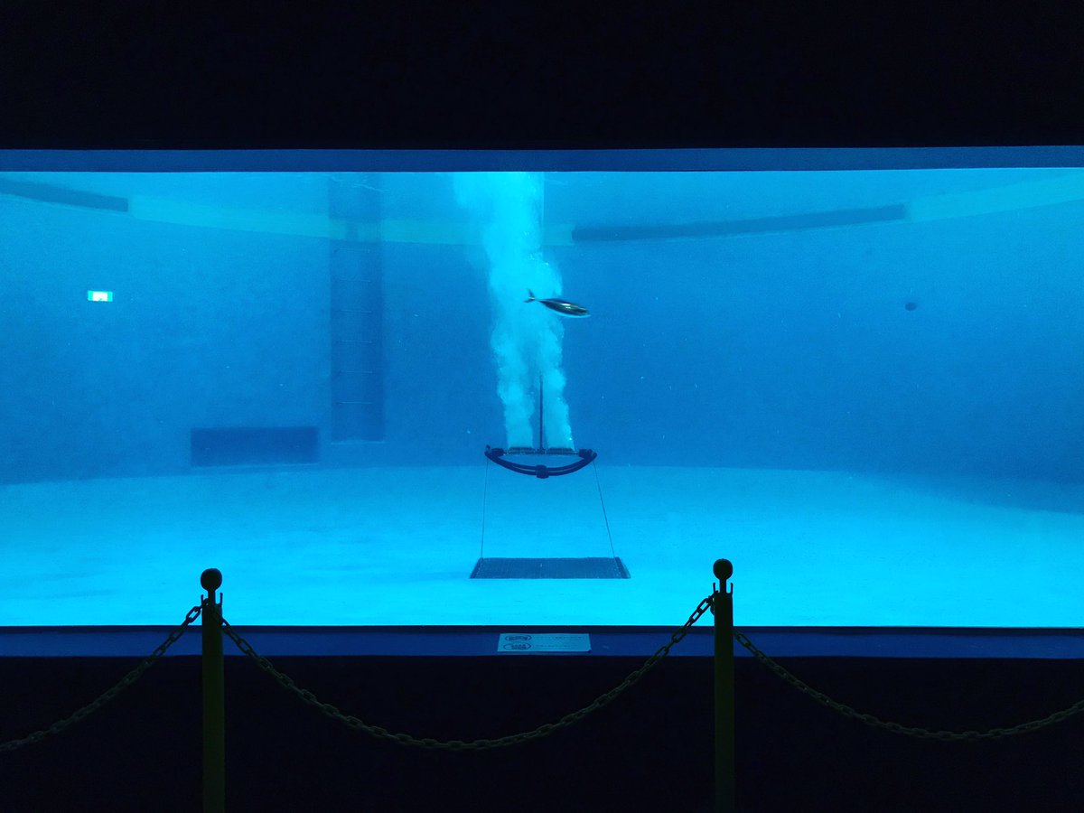 O Xrhsths Shoichiro Tachiki Sto Twitter ど根性マグロの子 浅虫水族館がマグロの稚魚の飼育に挑戦も3000の 稚魚で唯一生き残った最後の一匹 名前はまだないようなのでマグ吉と名付けようと思う とってもけなげ ガンバレ マグ吉 O Xrhsths Shoichiro Tachiki Sto Twitter ど根性マグロの子 浅虫水族館がマグロの稚魚の飼育に挑戦も3000の 稚魚で唯一生き残った最後の一匹 名前はまだないようなのでマグ吉と名付けようと思う とってもけなげ ガンバレ マグ吉