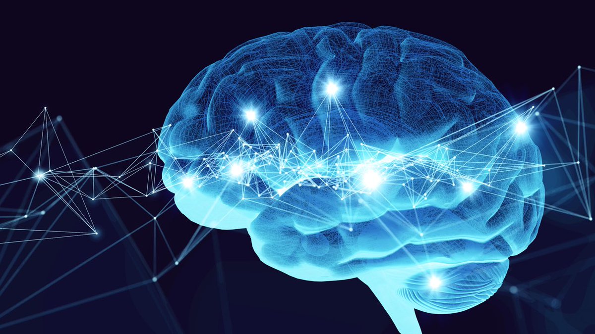 Jordi Mayor | Alcalde de Cullera tweet media