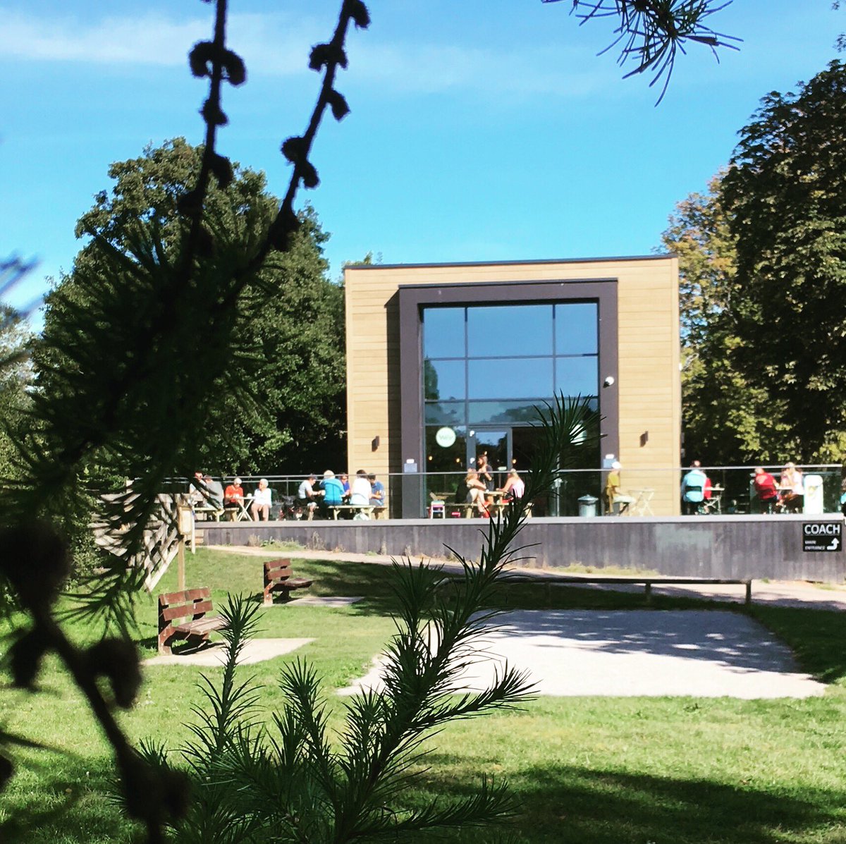 Good morning! Come and enjoy the September vibe.☀️