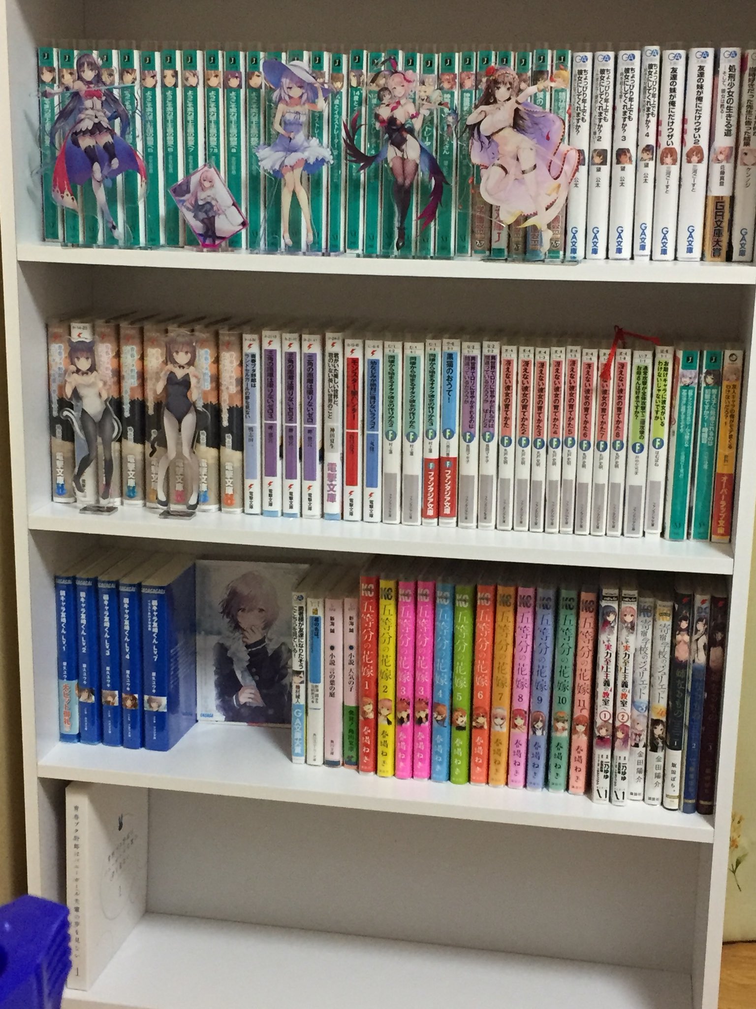 ট ইট র 一之瀬セレナイト 本棚届いたから早速並べてみた アクリルフィギュアと一緒に並べるのが小さな夢だったので良かった ほかの漫画 は山積みだけどこの本棚はラノベ 好きな漫画 コミカライズ等で使用します T Co Yyhrdajxqc ট ইট র