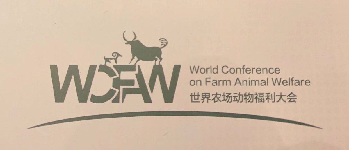 StigterHenk's tweet photo. Inspriring days at the #VIV in Qingdao. Many thanks to all the colleagues (#NBSO and PEK-LNV) who worked so hard to organize so many different events๐พ๐ช๐จ๐ณ๐ค๐ช #animalwefare #breeding #hightech #feed #AMR #NAFTEC #DMFC #networkdinner @AgriBeijing @NLinChina @AgroBericht https://t.co/kk1oWoPLvz
