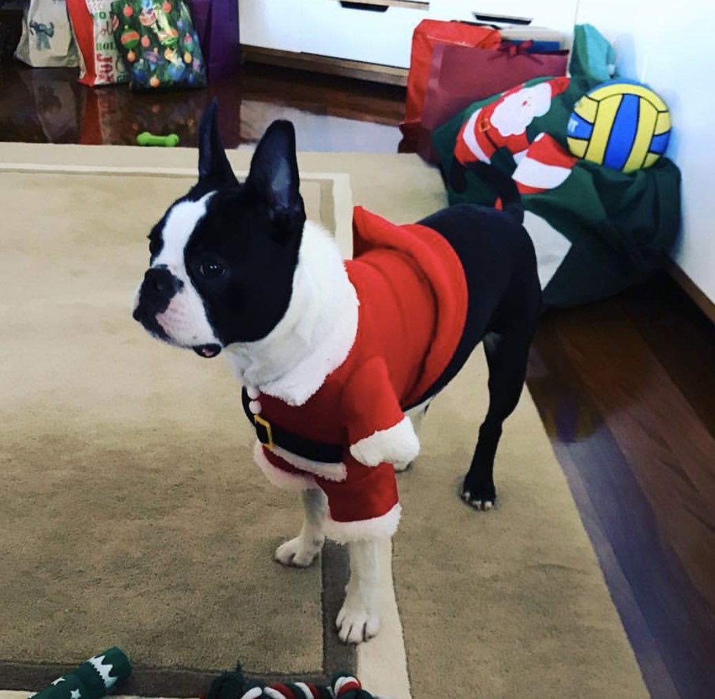 GlynnMiles's tweet photo. @steveallen86 Baby Vinny https://t.co/YCdgk5ULsg