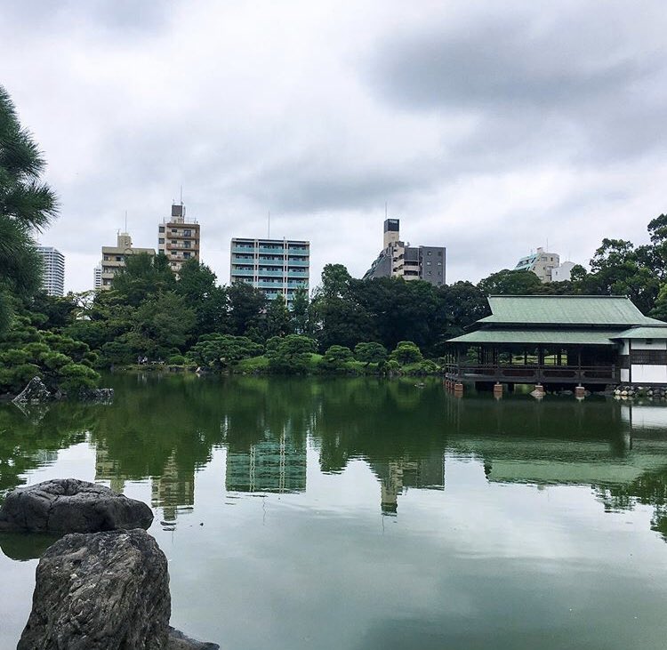 MirandaEvaKH's tweet photo. it is peaceful...just listening to water and relax makes my life happy #girlinjapan #vacationmode #relax #garden #tokyo https://t.co/ZbnKLx07wD