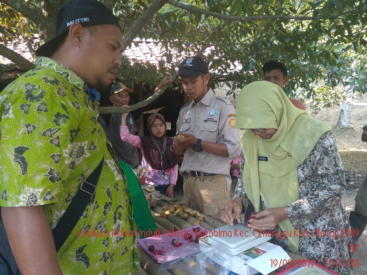 KabPlp's tweet photo. Evaluasi kebun benih Pala Ds. Datar kec dayeuluhur dan Ds. Kutabima Kec Cimanggu @ditjenbun @fkp2indonesia @han_nugh @KabPlp https://t.co/9wb9h488y1