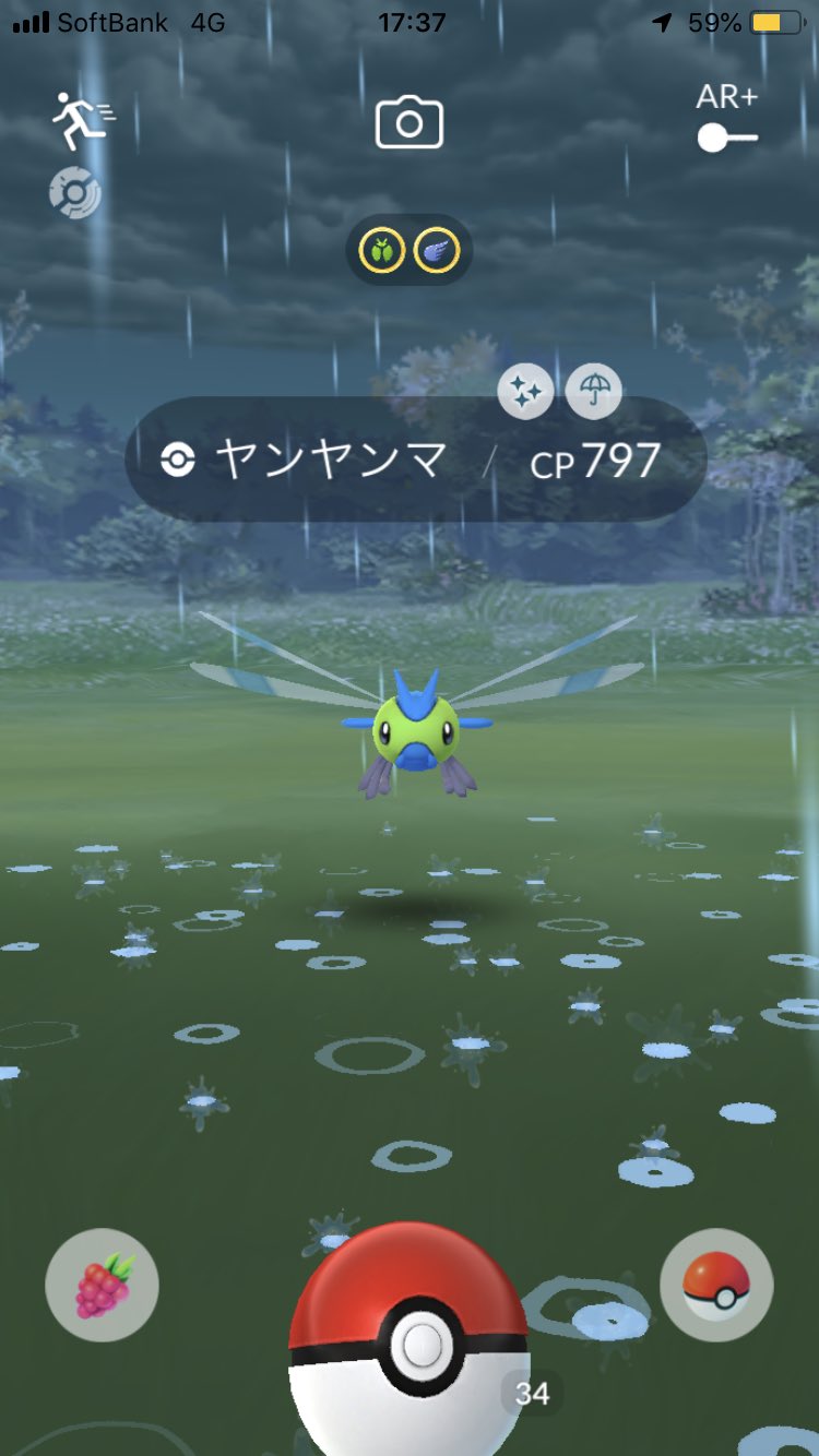 Sugan シマエナガ 色違いヤンヤンマ かっこよすぎる ありがとうございます ポケモンgo T Co 2vj2c2ye0b Twitter