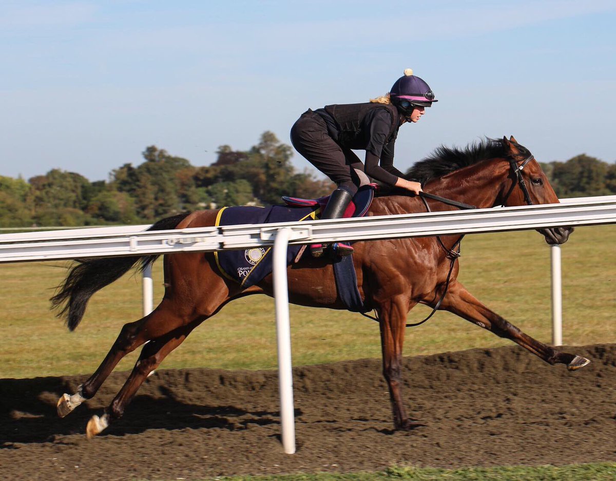 hpalmerracing's tweet photo. IMRAHOR (Kingman - She’s Mine) makes his racecourse debut at @NewburyRacing in the 7f Novice Stakes at 1.10pm. @KShoemark takes the ride. Best of luck to the owner of this 2yo colt, Mr V. I. Araci.
@VEFAHARASI @rob_speers @JuddmonteFarms #poweredbypolroger https://t.co/kOU8gNUuNI