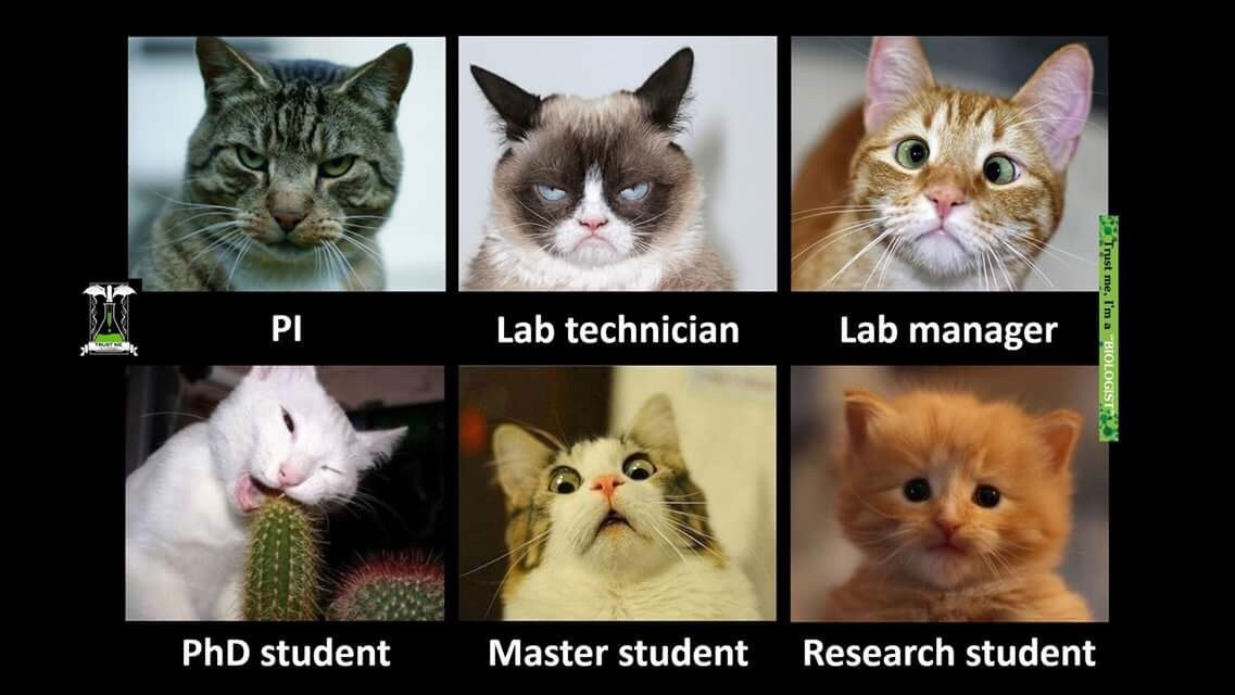 How could I never have posted this? It makes  me laugh every time I look at it. Captures the essence! Don't know where it came from so I can't give credit, sorry.