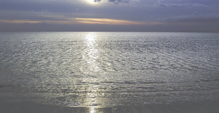 pepmari4's tweet image. En mar calmado, todos somos capitanes.
John Ray
#capitanes